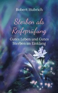 bokomslag Sterben als Reifeprüfung