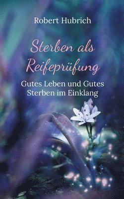 bokomslag Sterben als Reifeprüfung
