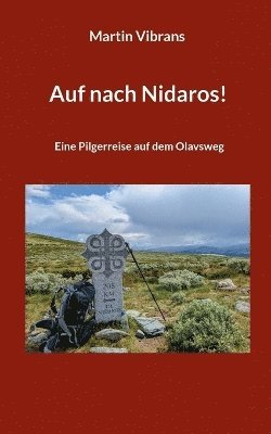 bokomslag Auf nach Nidaros!