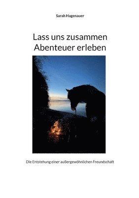 bokomslag Lass uns zusammen Abenteuer erleben: Die Entstehung einer außergewöhnlichen Freundschaft