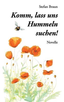 bokomslag Komm, lass uns Hummeln suchen!