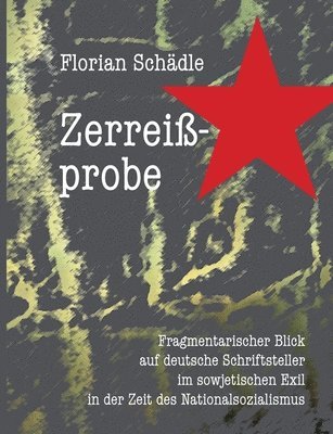 bokomslag Zerreißprobe