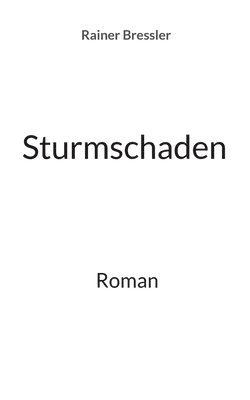 bokomslag Sturmschaden