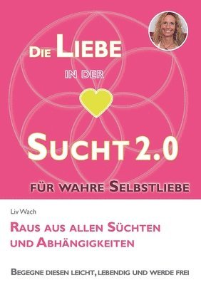 bokomslag Die Liebe in der Sucht 2.0