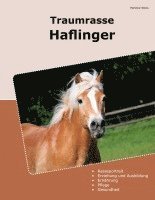 bokomslag Traumrasse Haflinger