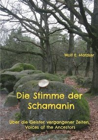 bokomslag Stimme der Schamanin