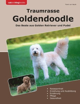 bokomslag Traumrasse Goldendoodle