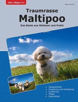 Heike Lammer - Traumrasse Maltipoo, Häftad