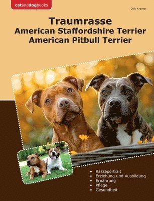 bokomslag Traumrasse American Staffordshire Terrier