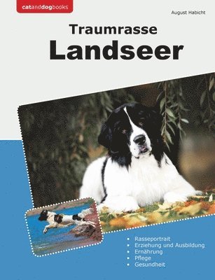 bokomslag Traumrasse Landseer