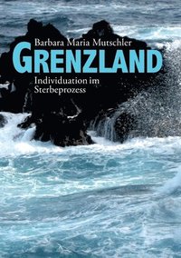 bokomslag Grenzland