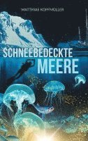 bokomslag Schneebedeckte Meere