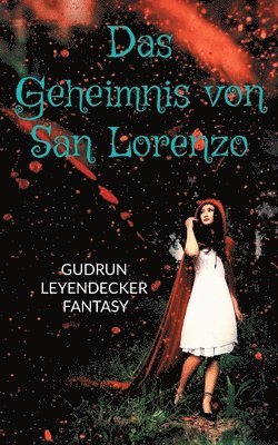 bokomslag Geheimnis von San Lorenzo