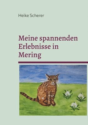 bokomslag Meine spannenden Erlebnisse in Mering