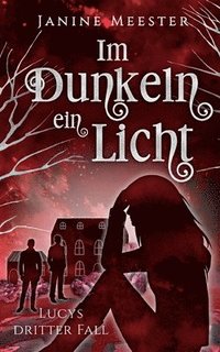 bokomslag Im Dunkeln ein Licht