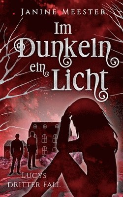 Im Dunkeln ein Licht 1