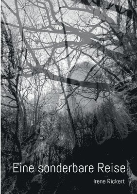 Eine sonderbare Reise