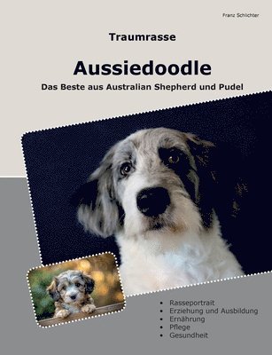 bokomslag Traumrasse Aussiedoodle