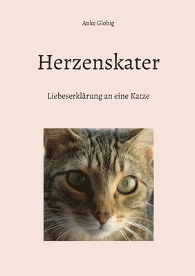 Herzenskater 1