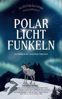 bokomslag Polarlichtfunkeln