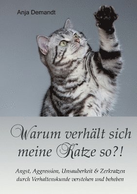 bokomslag Warum verhlt sich meine Katze so