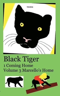 Black Tiger 1 Coming Home: Volume 3 Marcello's Home 1