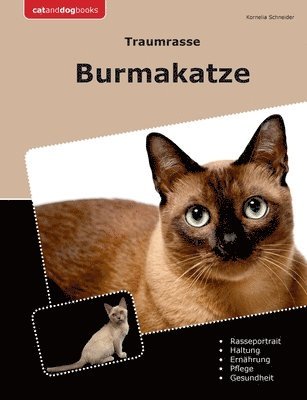 bokomslag Traumrasse Burmakatze