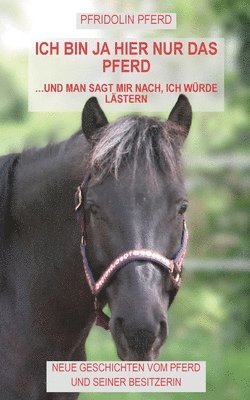 bokomslag Ich bin ja hier nur das Pferd