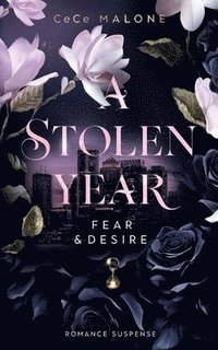 bokomslag A stolen Year