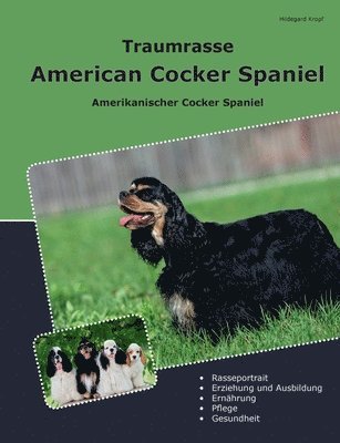 bokomslag Traumrasse American Cocker Spaniel