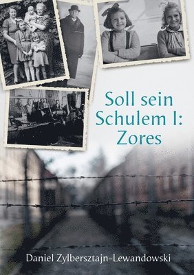 bokomslag Soll sein Schulem I