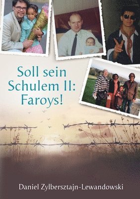 bokomslag Soll sein Schulem II