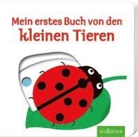 bokomslag Mein erstes Buch von den kleinen Tieren