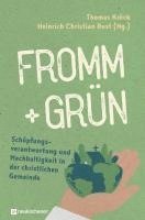 bokomslag fromm + grün - Schöpfungsverantwortung und Nachhaltigkeit in der christlichen Gemeinde