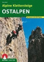 bokomslag Alpine Klettersteige Ostalpen