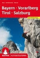 bokomslag Klettersteige Bayern - Vorarlberg - Tirol - Salzburg