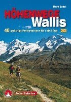 bokomslag Höhenwege im Wallis