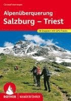 bokomslag Alpenüberquerung Salzburg - Triest