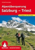 bokomslag Alpenüberquerung Salzburg - Triest