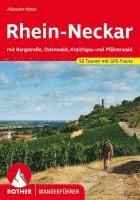 Albrecht Ritter - Rhein-Neckar, Häftad