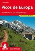 bokomslag Picos de Europa