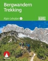 bokomslag Alpin-Lehrplan 1: Bergwandern - Trekking