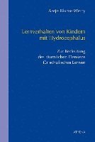 bokomslag Lernverhalten von Kindern mit Hydrocephalus