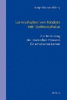 Antje Blume-Werry - Lernverhalten von Kindern mit Hydrocephalus, Häftad. Tillgänglighet: Lägg i varukorg
