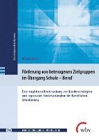 bokomslag Förderung von heterogenen Zielgruppen im Übergang Schule - Beruf