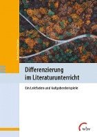 bokomslag Differenzierung im Literaturunterricht