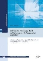 bokomslag Individuelle Förderung durch multiprofessionelle Kooperation (gestalten)