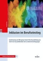 Mareike Beer - Inklusion im Berufseinstieg, Häftad