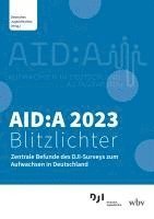bokomslag AID:A 2023 Blitzlichter