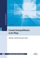 bokomslag Formale Unterqualifikation in der Pflege